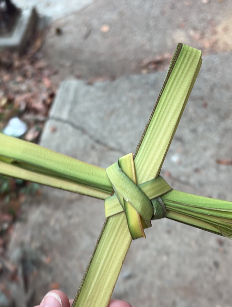 La Rata 🐀 tweet media