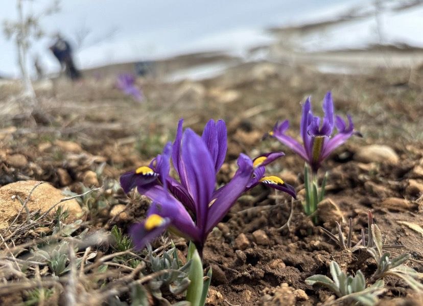 Ava zelal tuwana nû tweet media