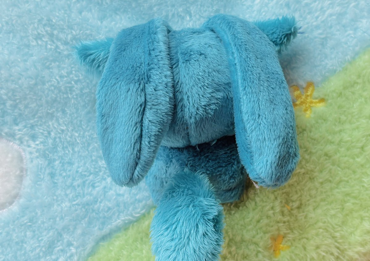 릴리피피🎀 tweet media