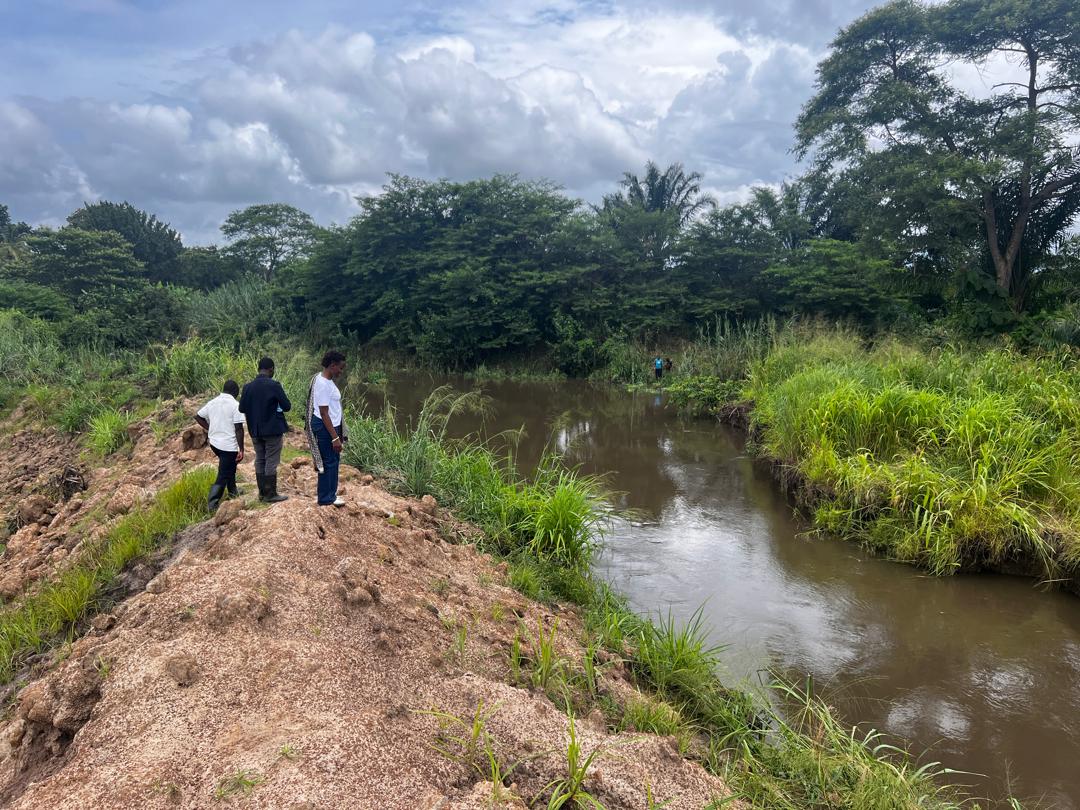 greenforfuturetanzania tweet media