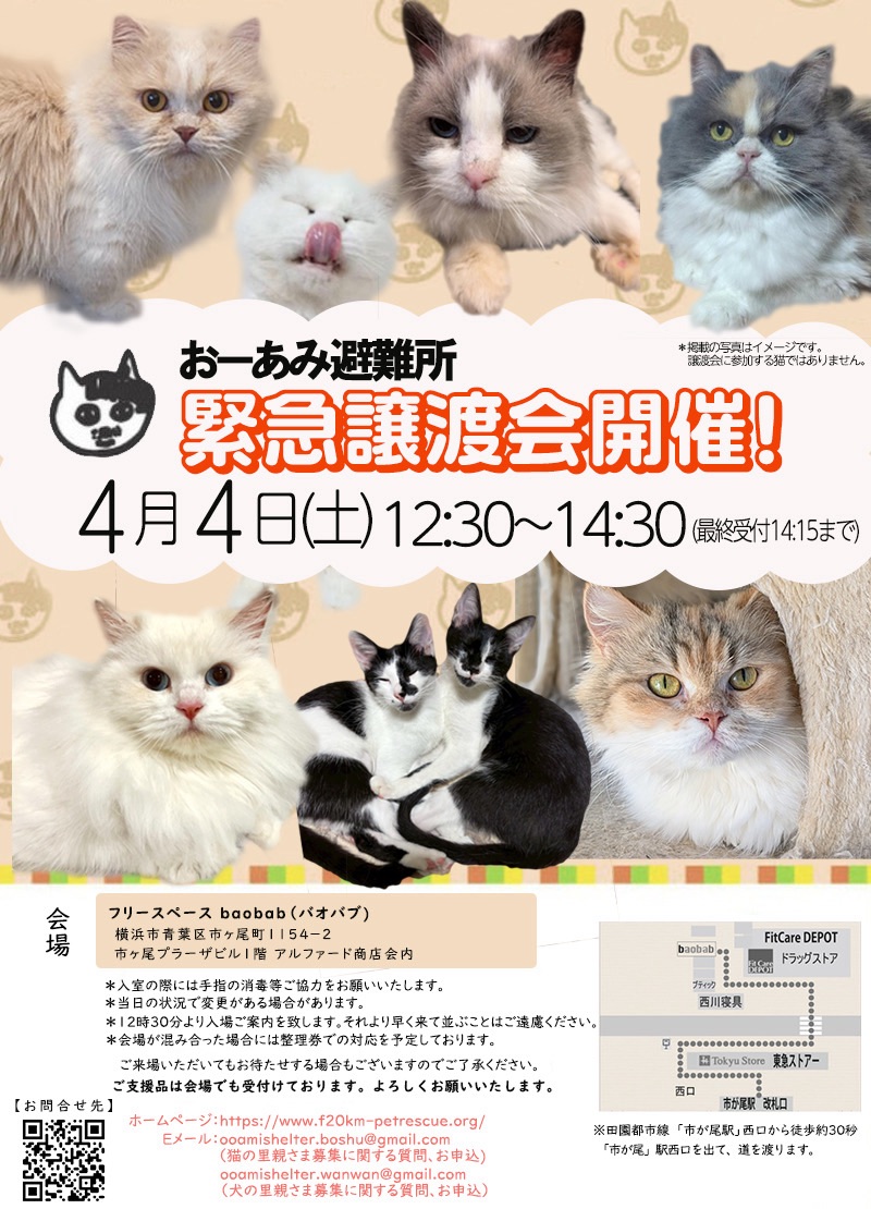 おーあみ避難所 里親募集中 tweet media