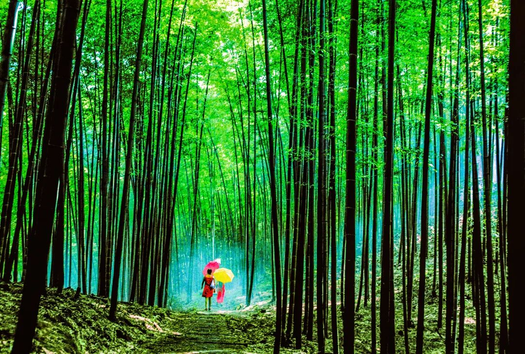 李有礼（fo💯） tweet media