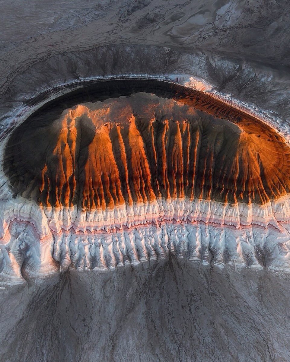 🅱🆄🆂🅷🅸🅳ō tweet media