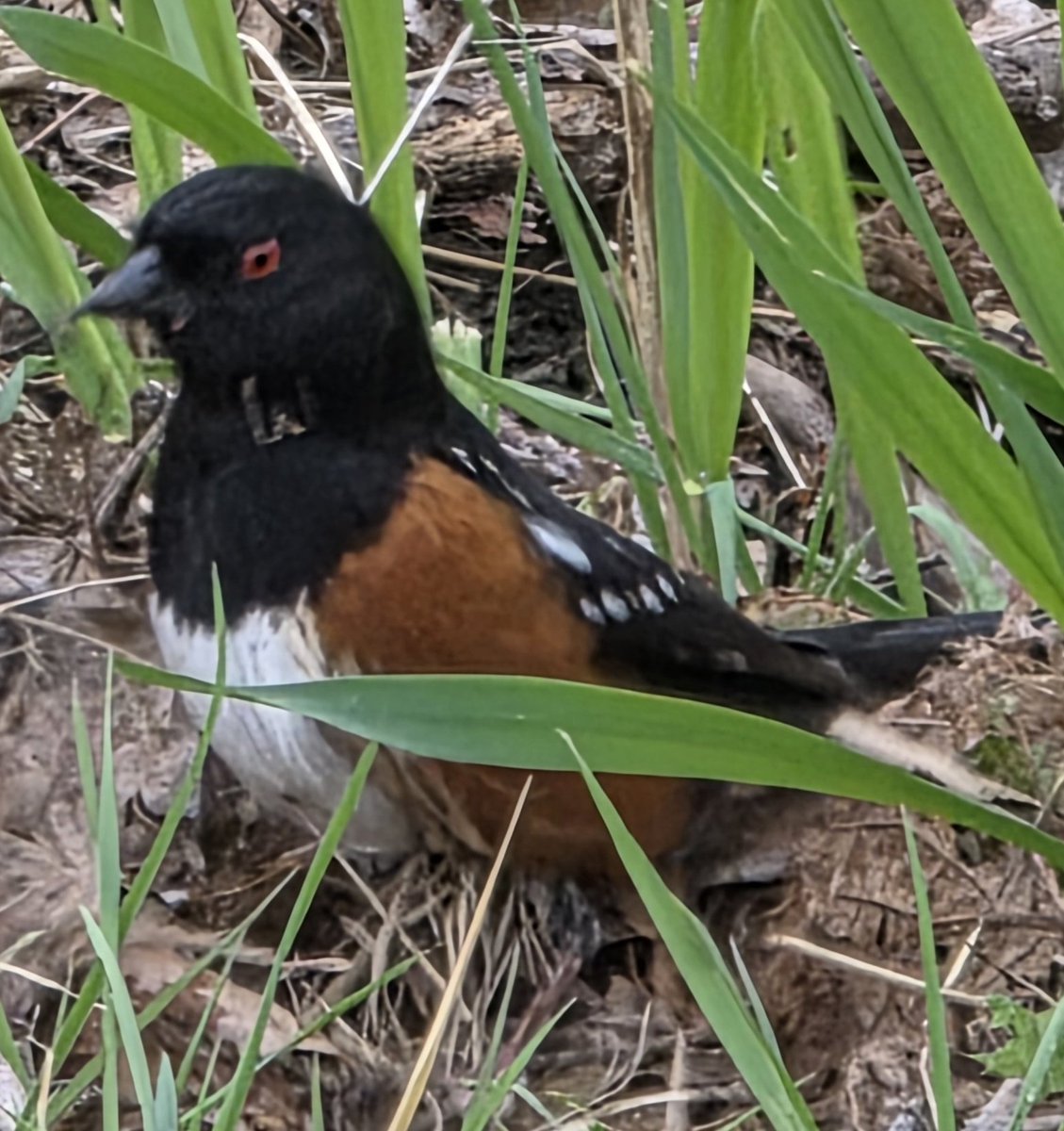 Lady Di 🇨🇦🇺🇦💙💛 tweet media