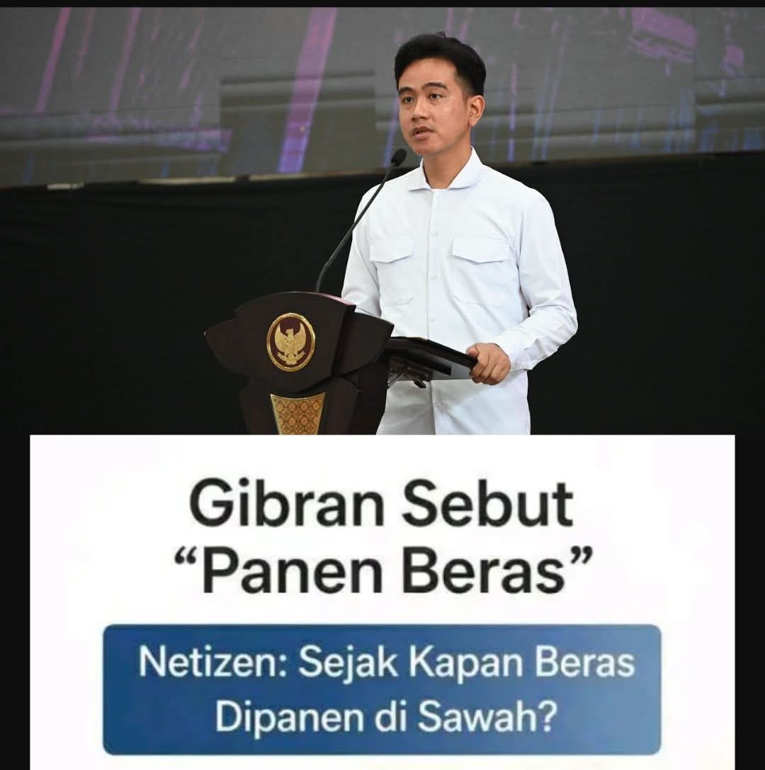 KANG MANTO tweet media