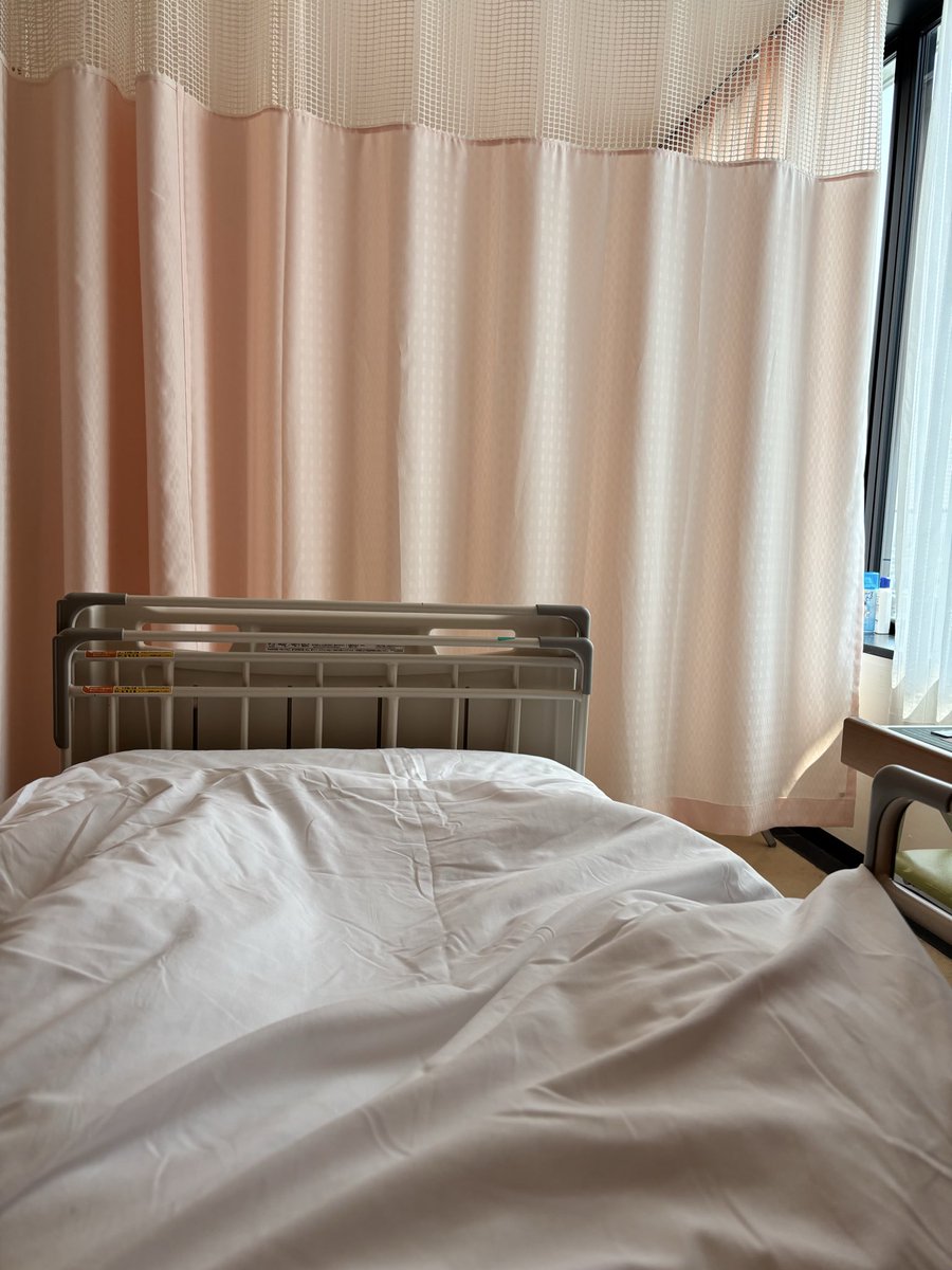 いれいな tweet media