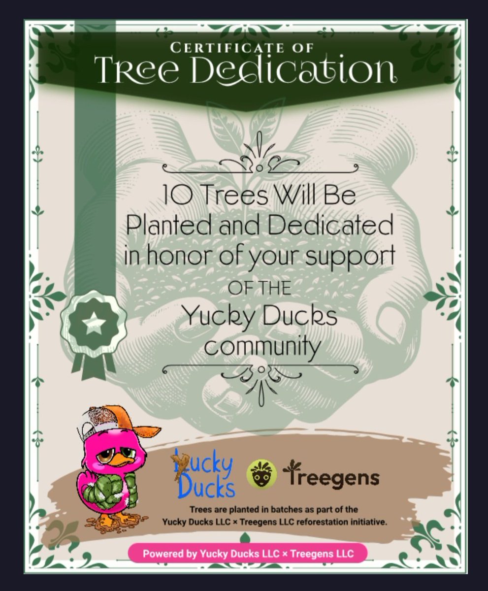 ORIGIN🅰️L NF_Teacher tweet media