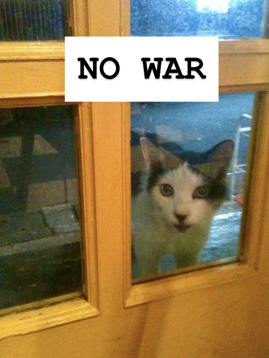 Comic Strip☆ tuffy tweet media