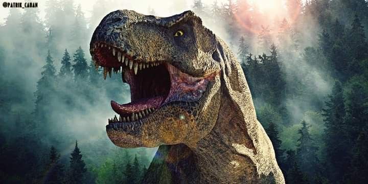 Squirtle Fernández tweet media