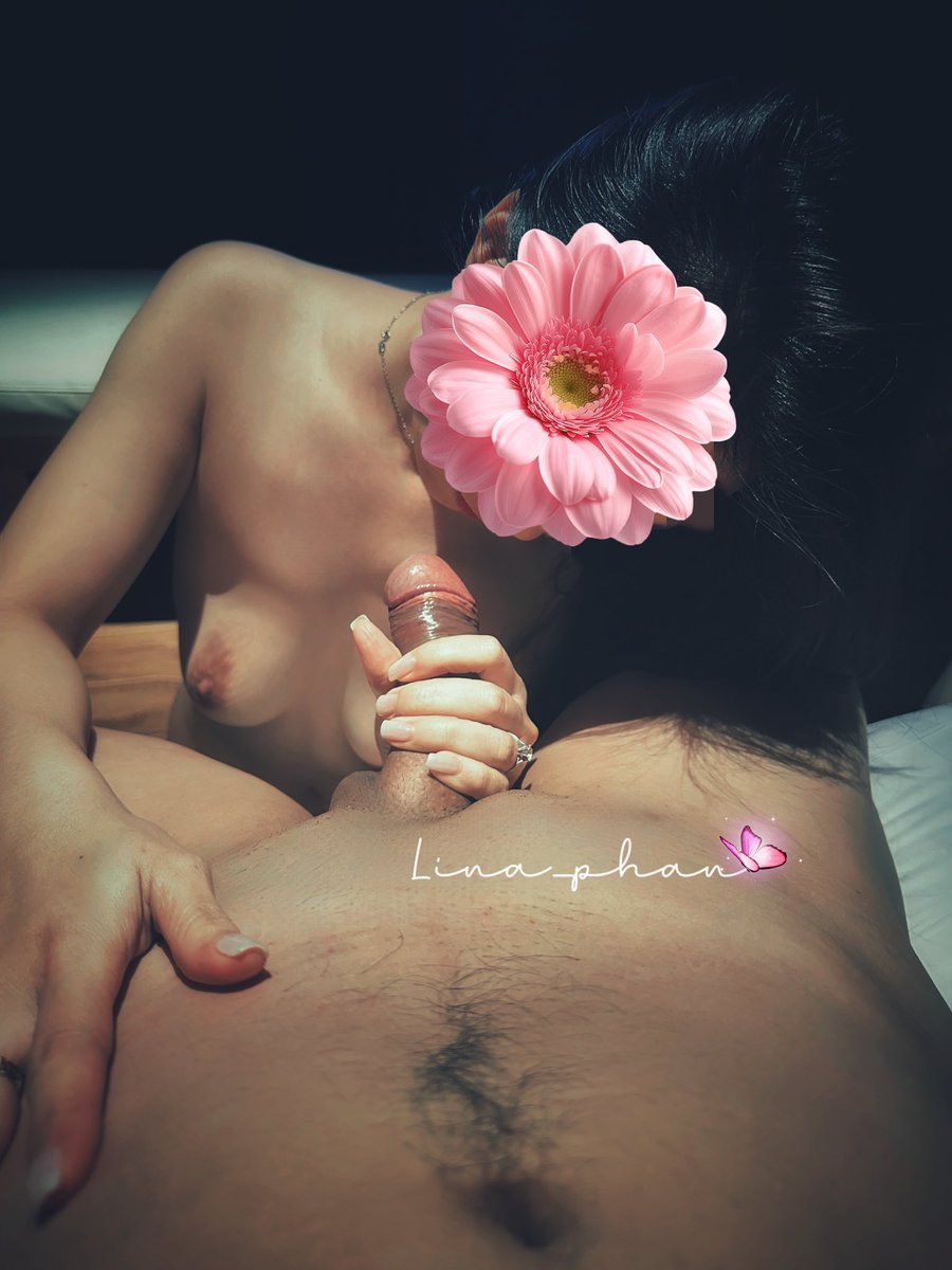 lina_phan tweet media