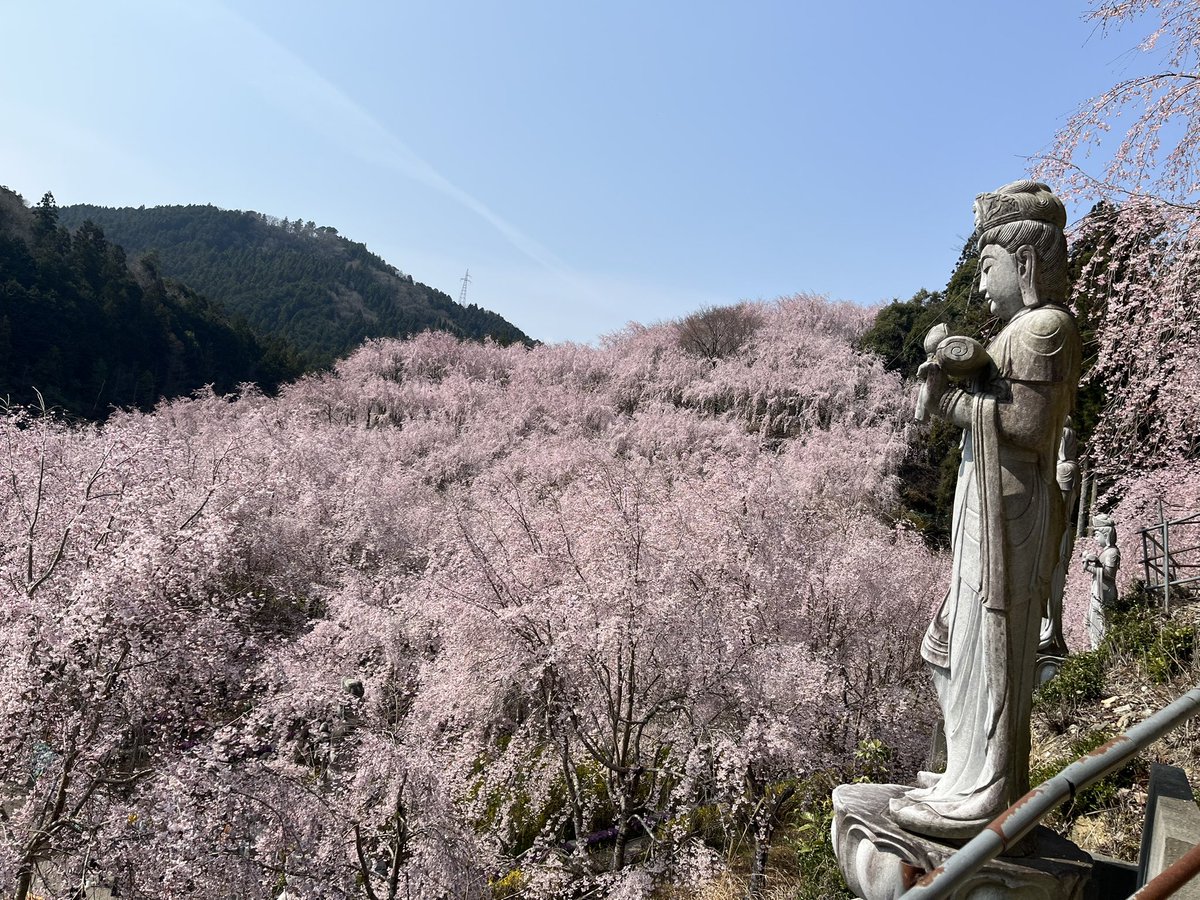 はっしー tweet media