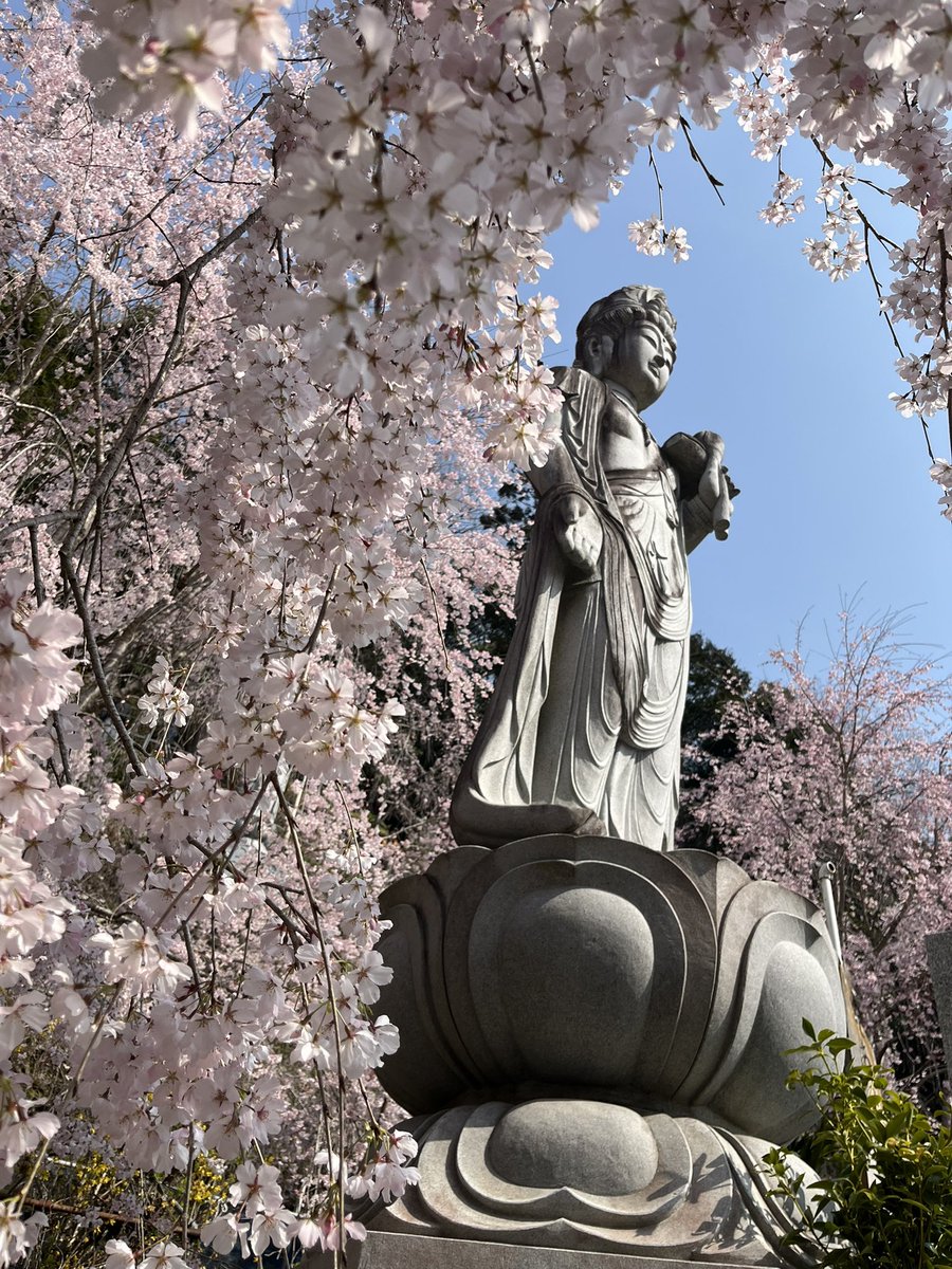 はっしー tweet media