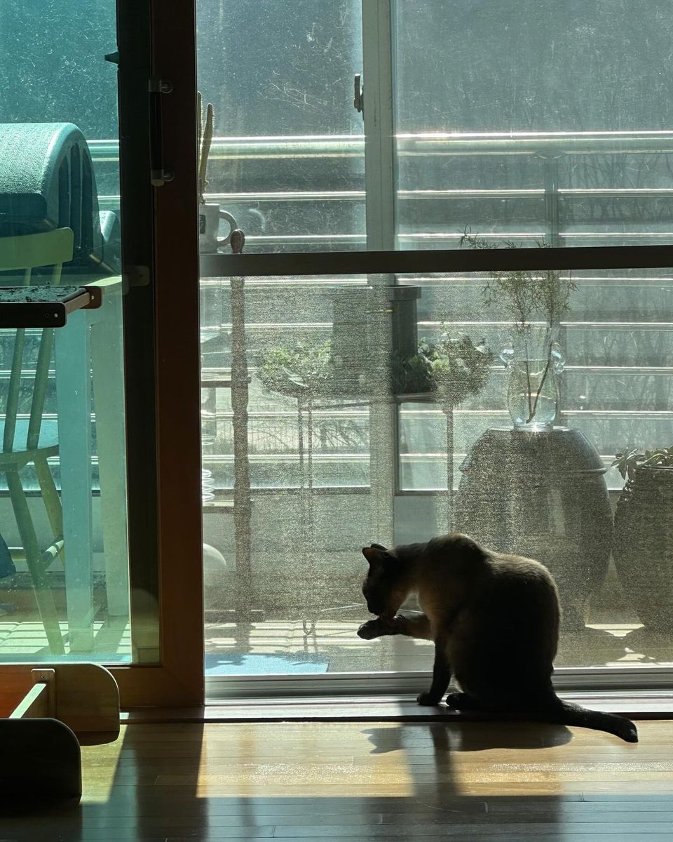 pyeonghwa fan tweet media