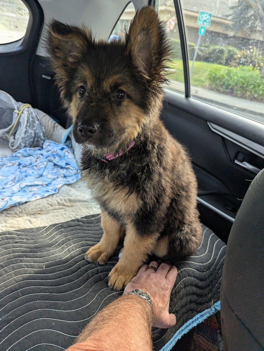 Vaya Con Carne tweet media