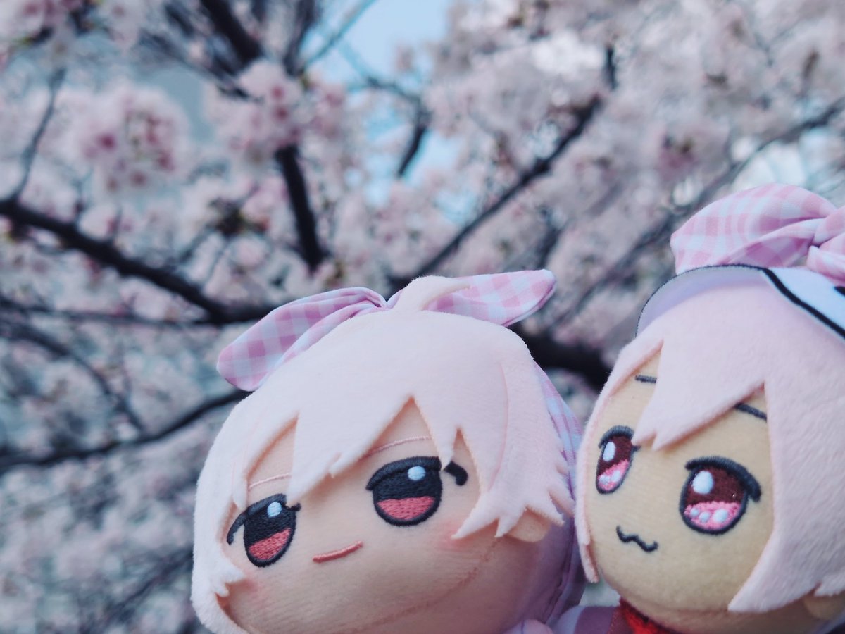 瑠璃♡ tweet media