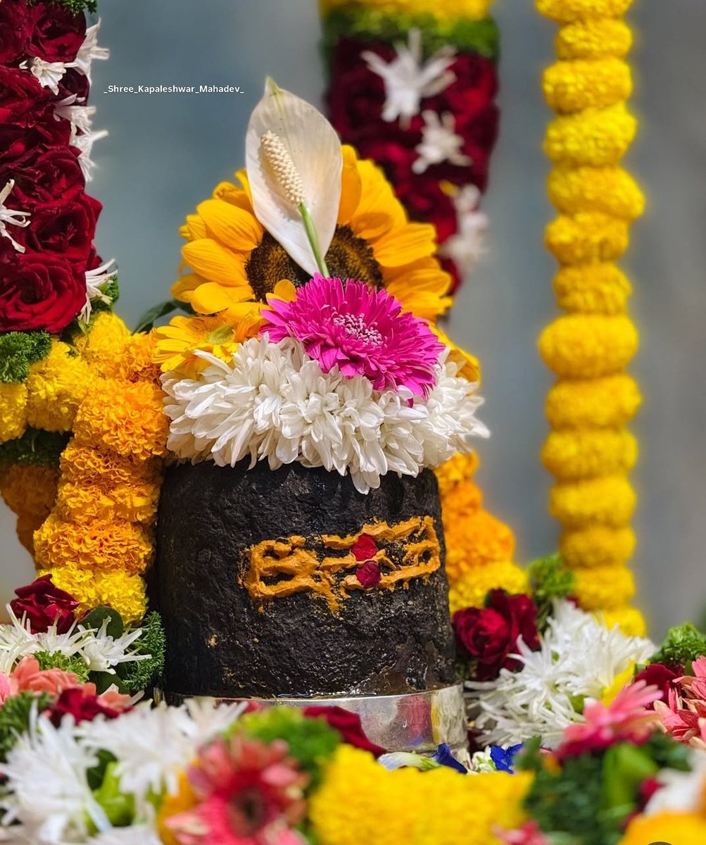 Prachee Nanda OSPS (।)🌵 tweet media