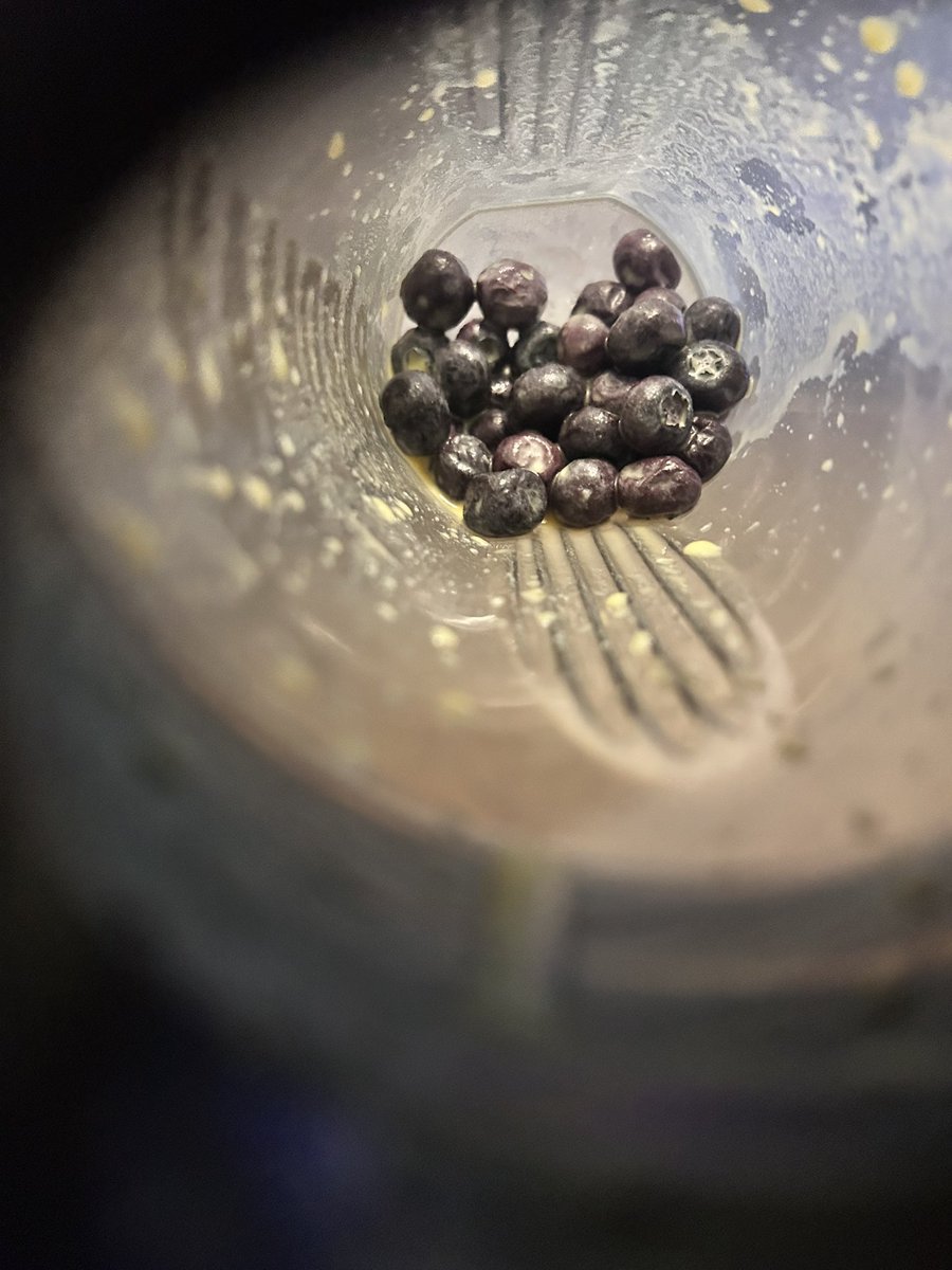 Rompí el vaso de la licuadora 🥹 tocara masticar las chicatanas, obviamente no se deshicieron en el shaker.