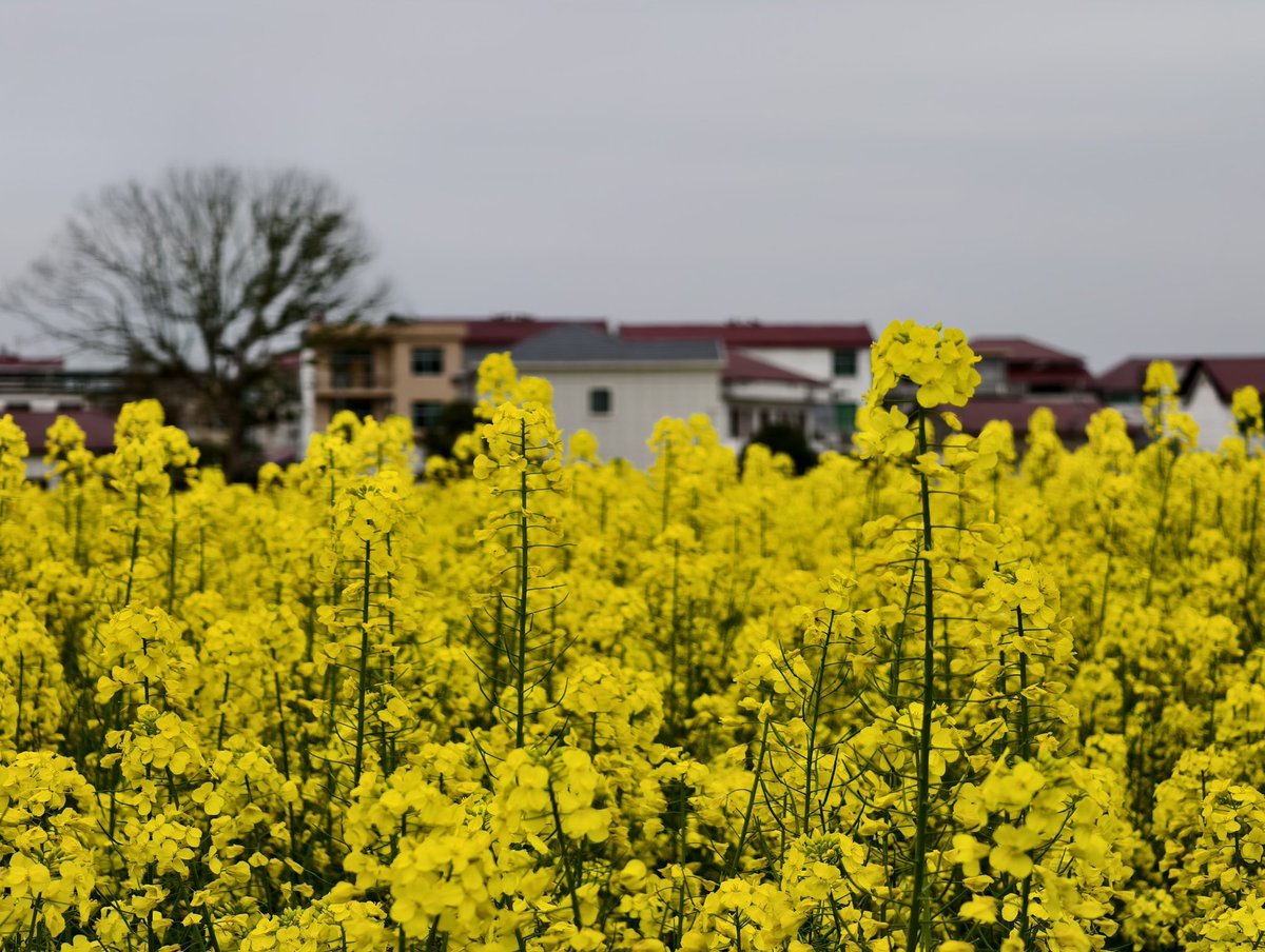 chinn Wan（互fo互赞） tweet media