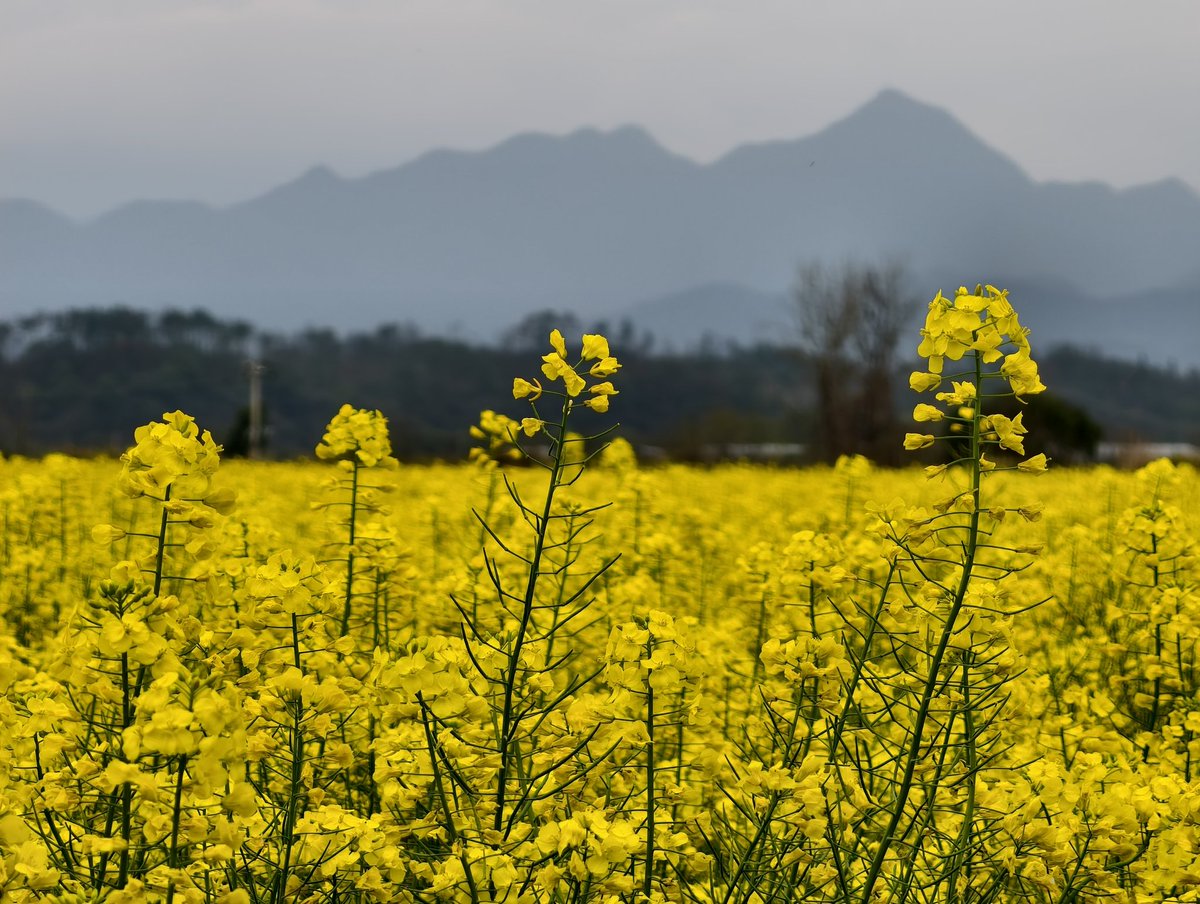 chinn Wan（互fo互赞） tweet media