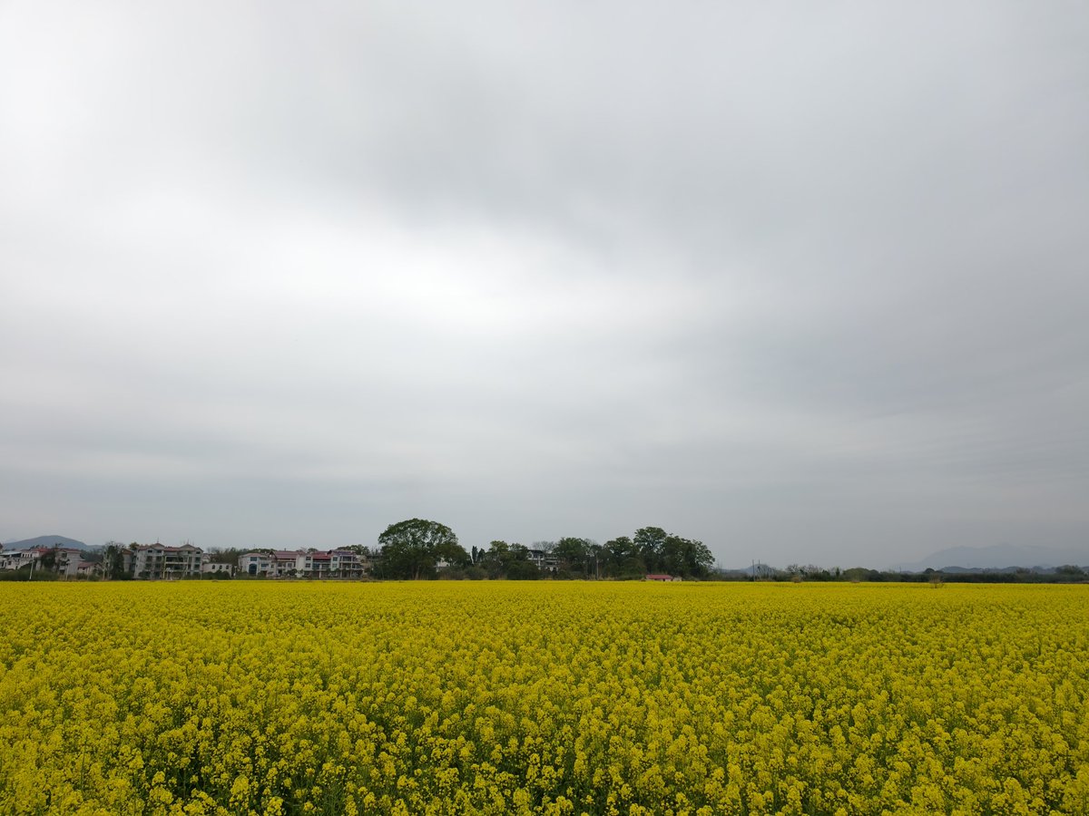 chinn Wan（互fo互赞） tweet media