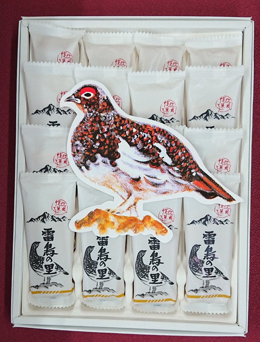 アフロ・レイ tweet media