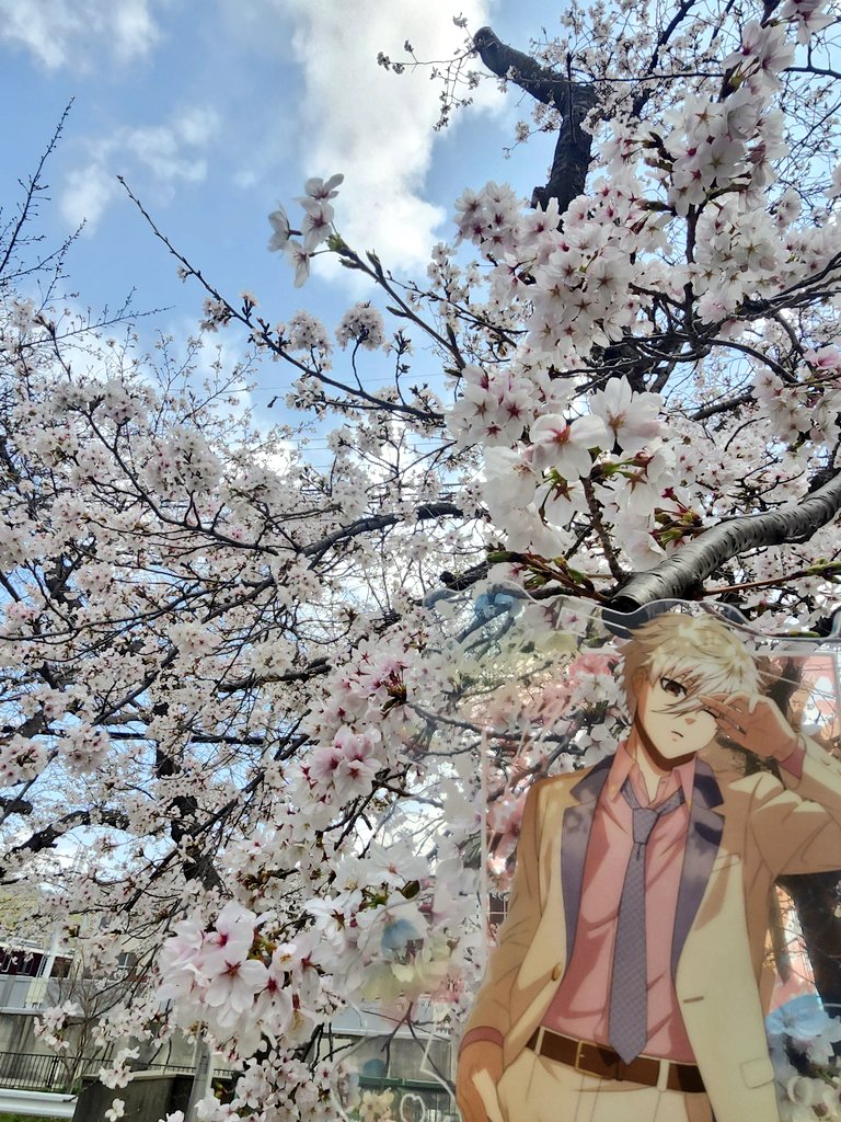 アベル/固定ご一読下さい tweet media