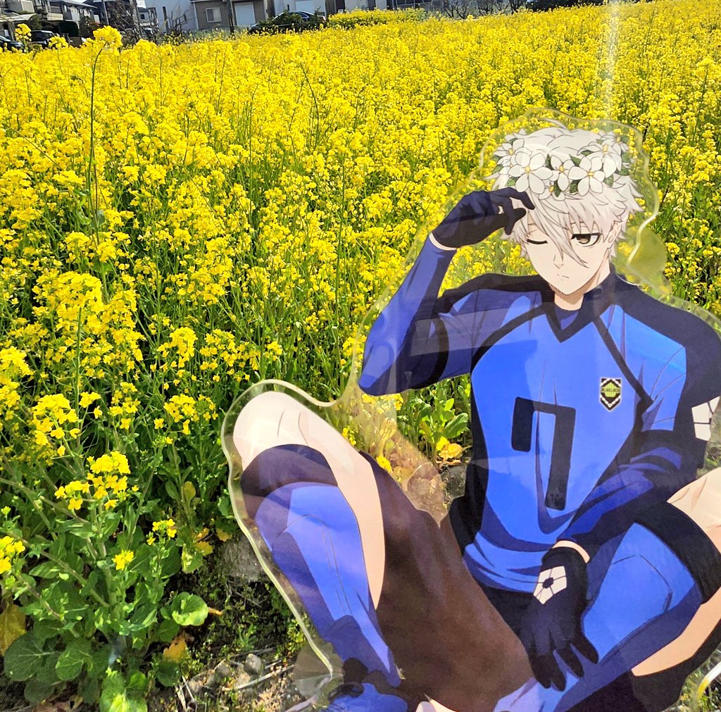 アベル/固定ご一読下さい tweet media