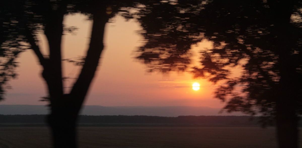 مَنار tweet media