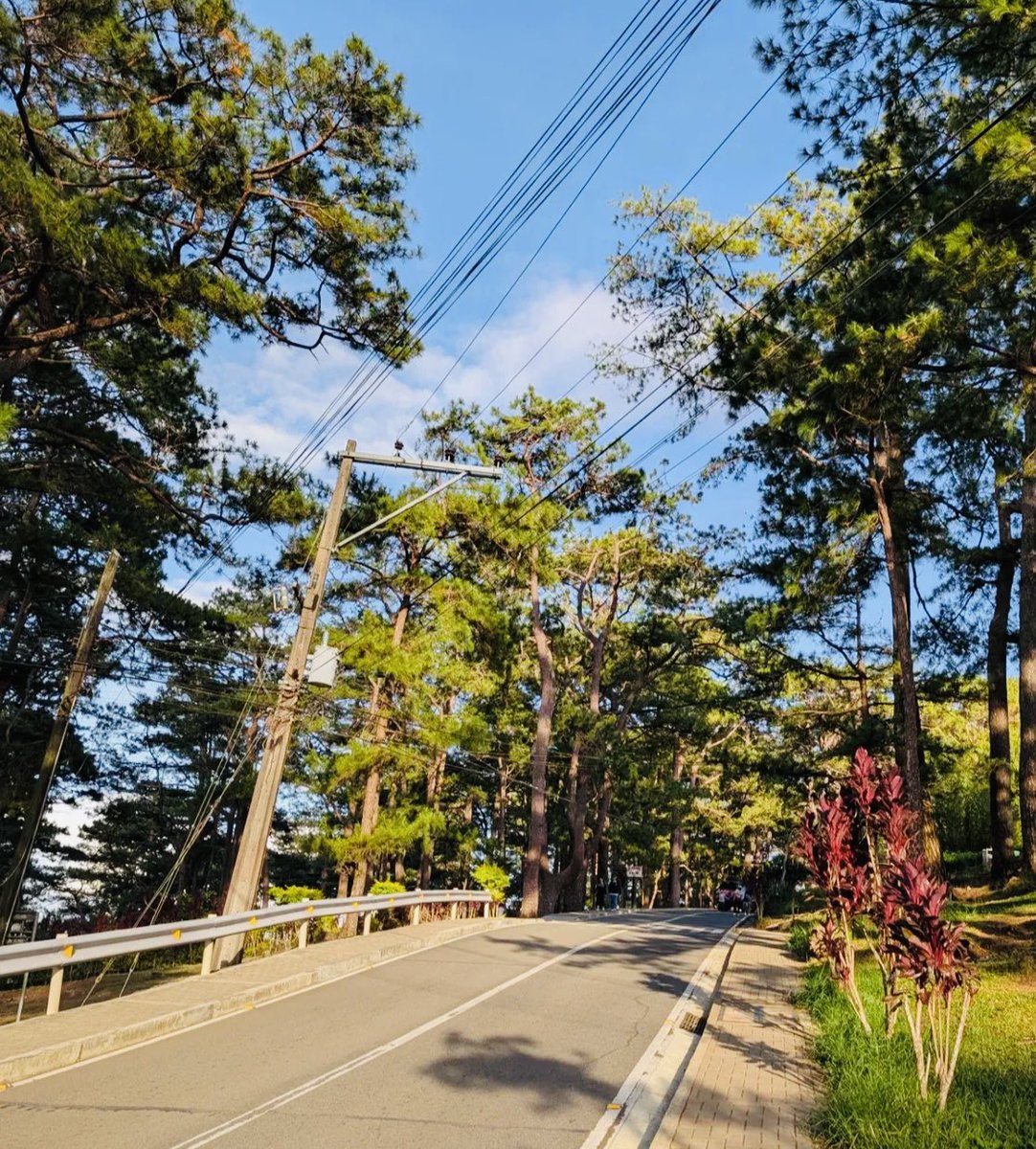 yooaverageguy tweet media