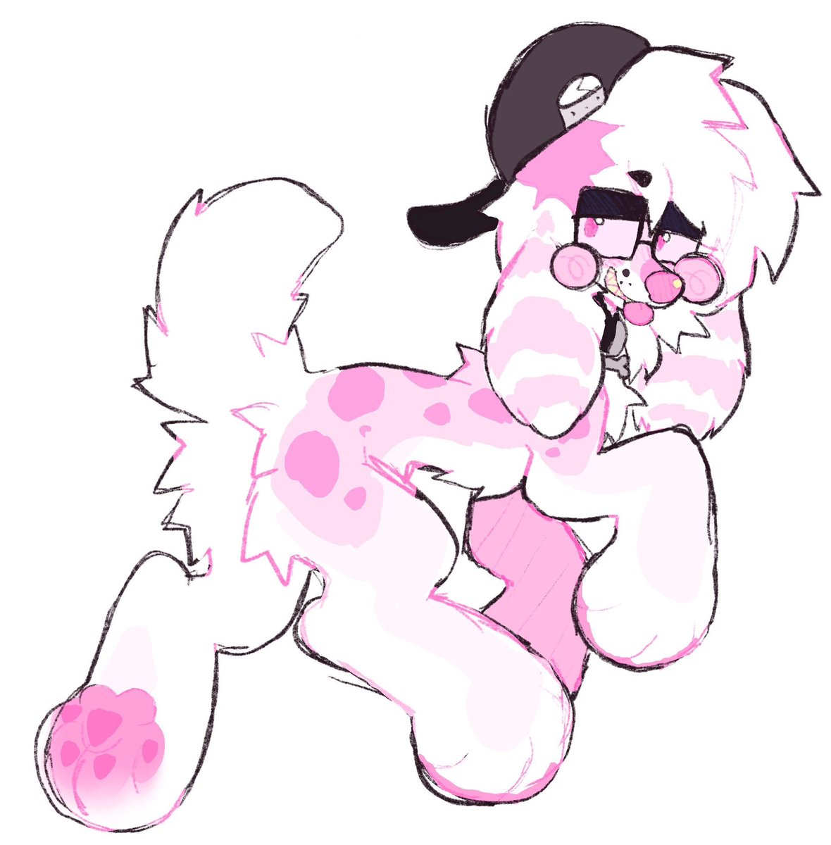 Ruan 🐶🎾 tweet media