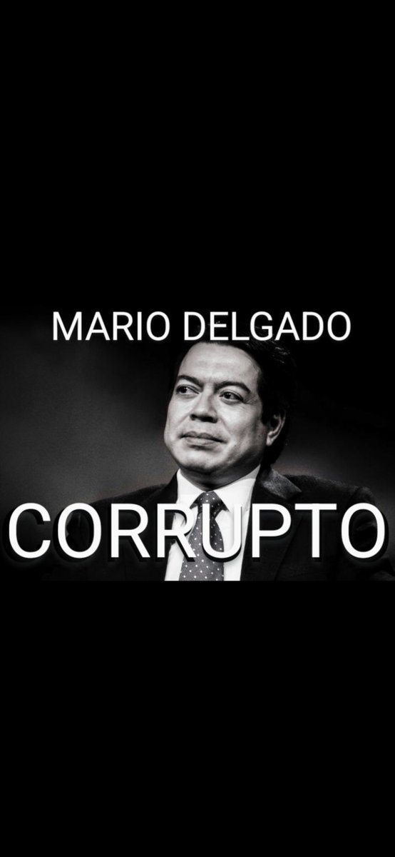 Sofia torreblanca perez tweet media