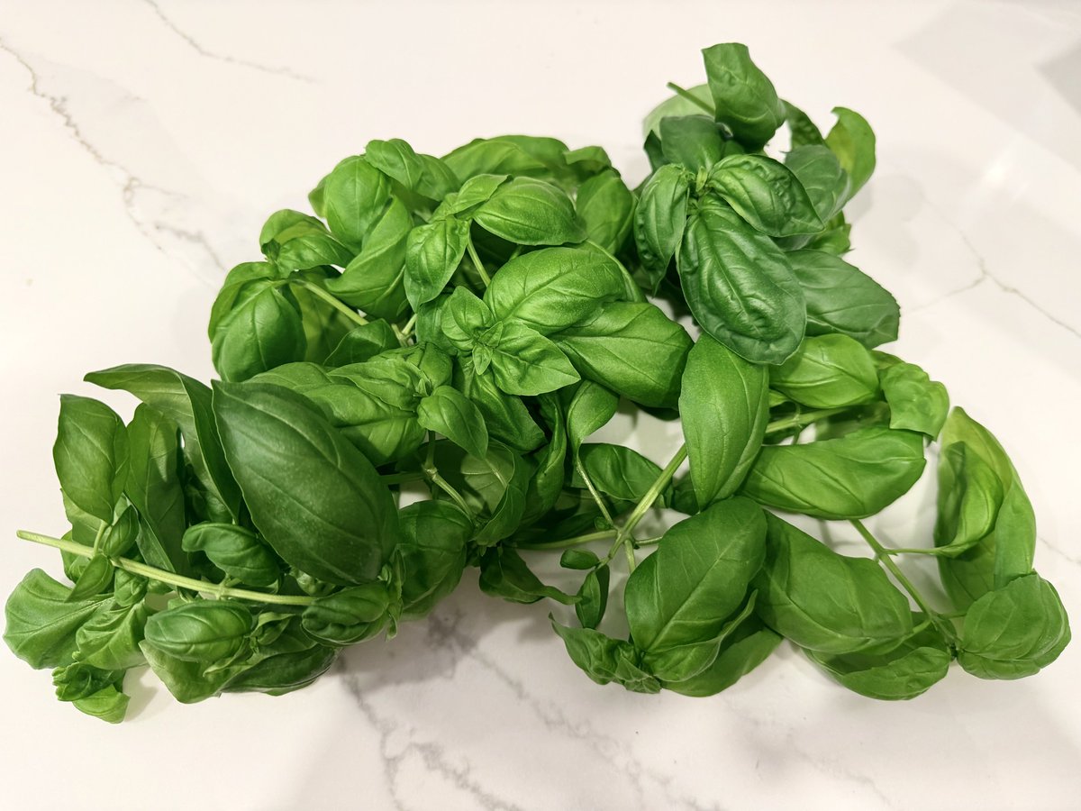 Dr J Rould tweet media