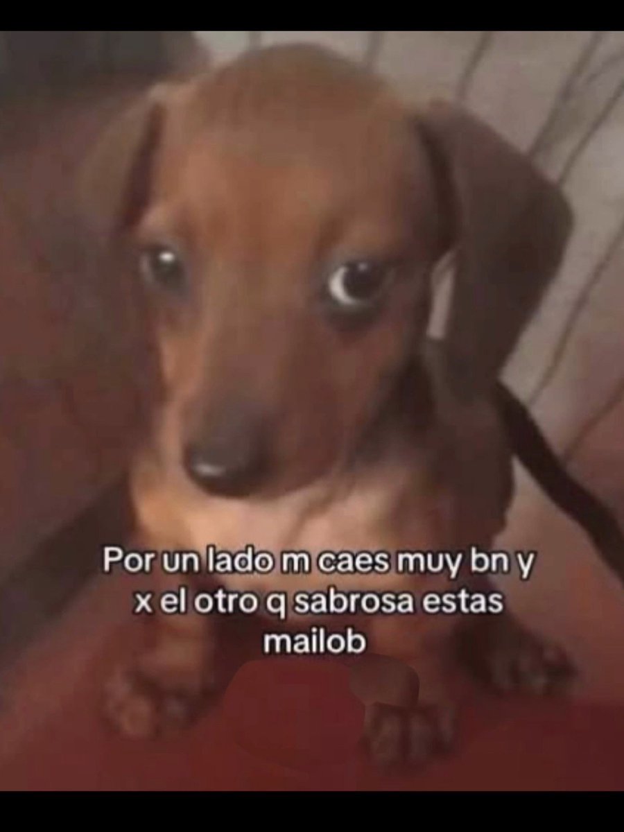 Tu tazo dorado 🍻🤪🇲🇽 tweet media