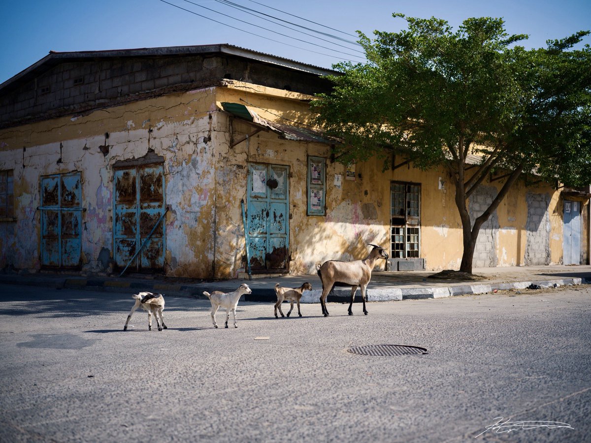 上田晃司 tweet media
