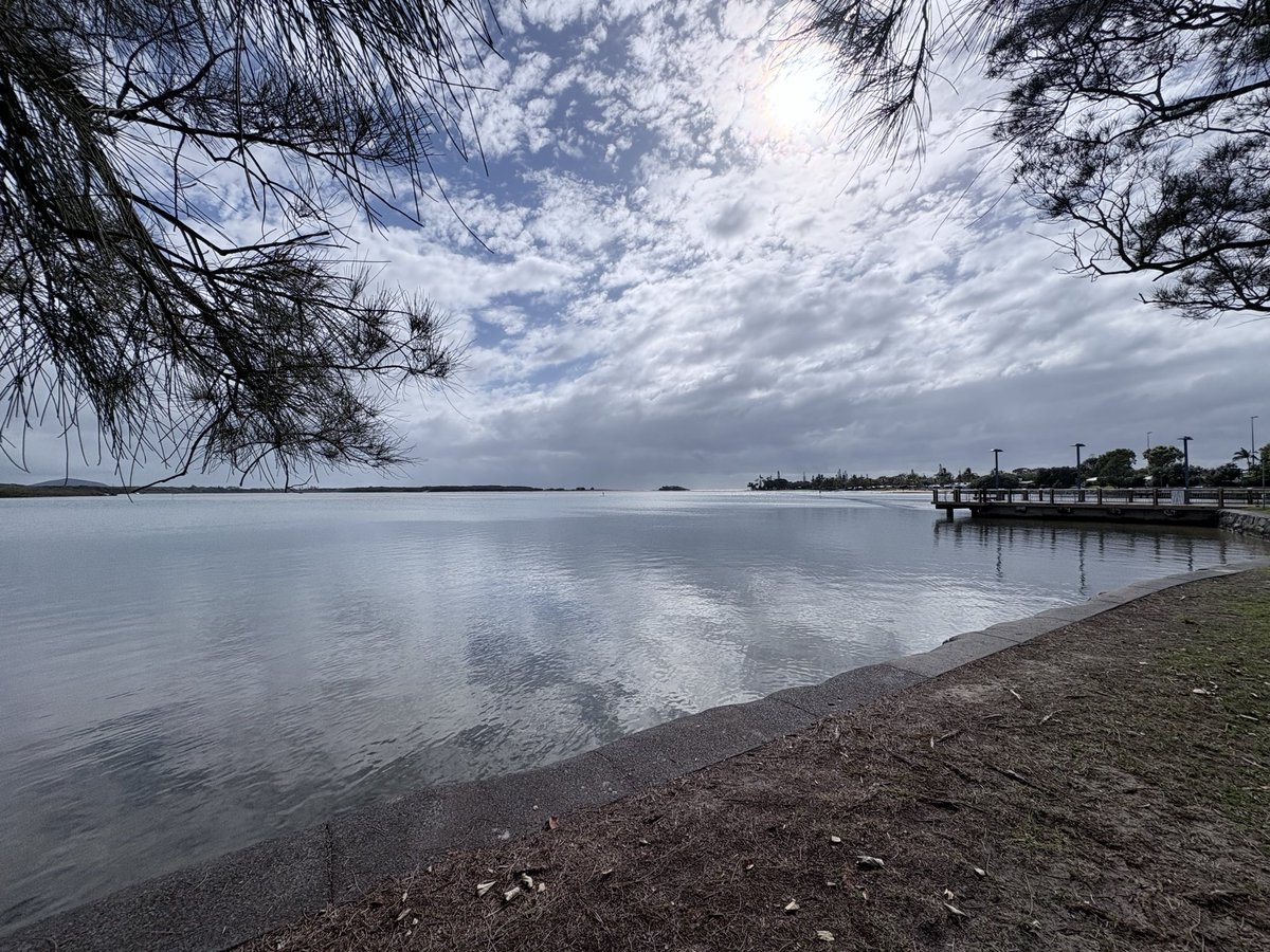 💧David maycraft🩸🌱 tweet media