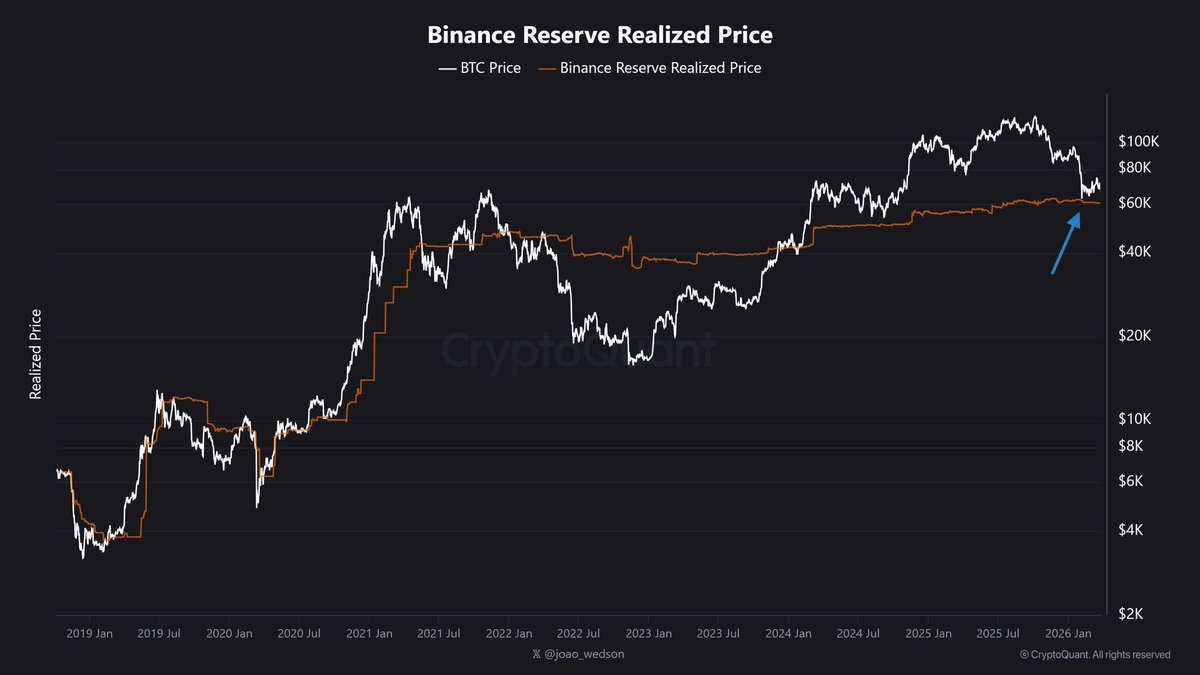 大漂亮| C Labs tweet media