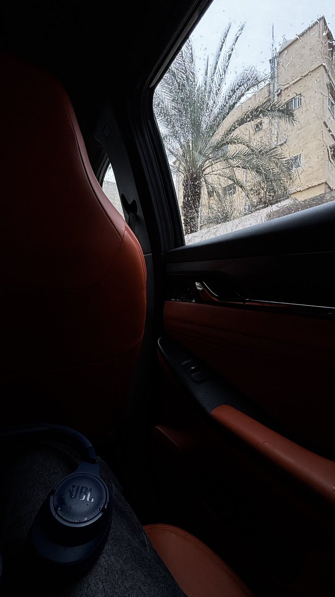 sunflower tweet media