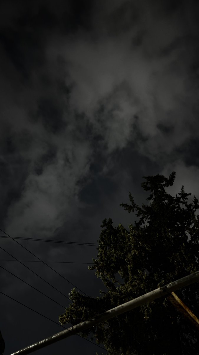 sunflower tweet media