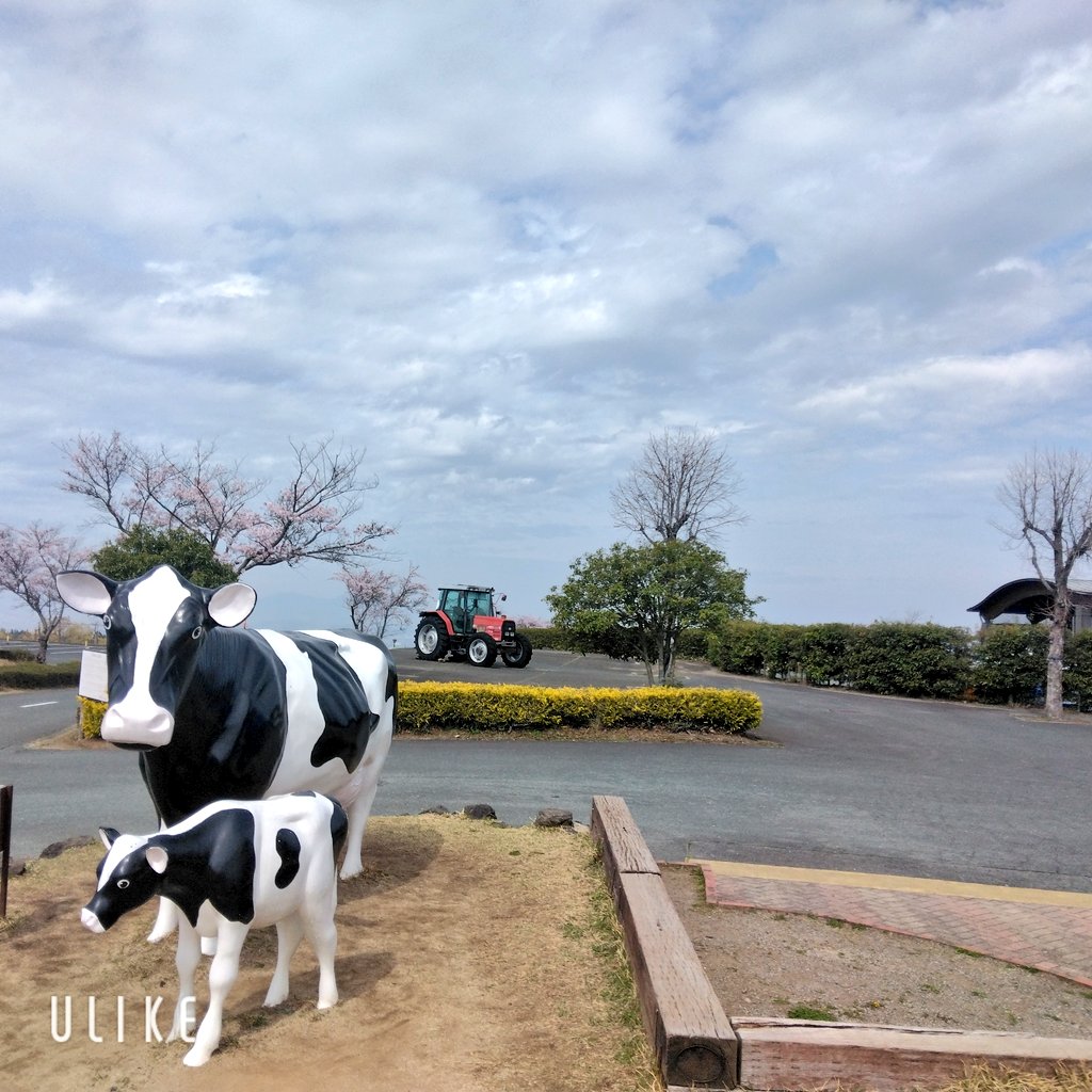 😈shirosaki😺🐶🎀 tweet media