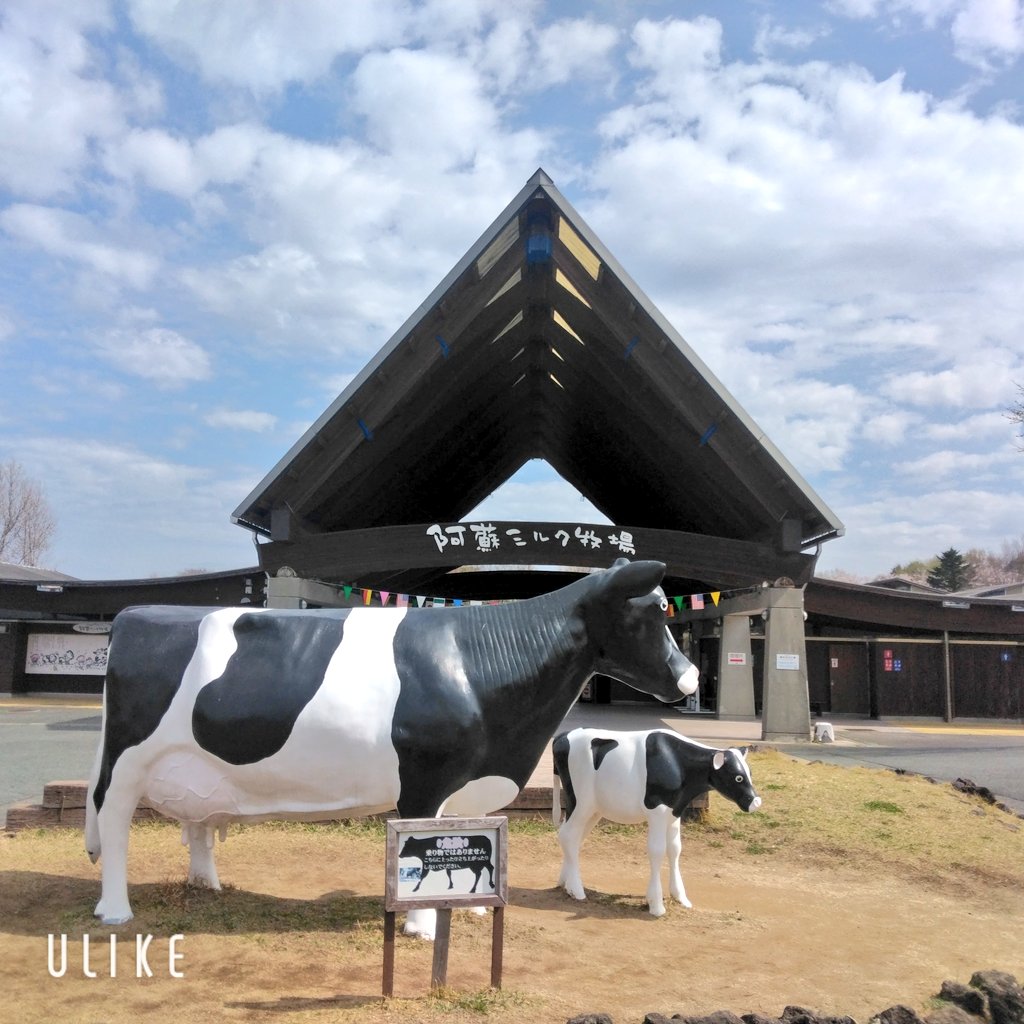 😈shirosaki😺🐶🎀 tweet media