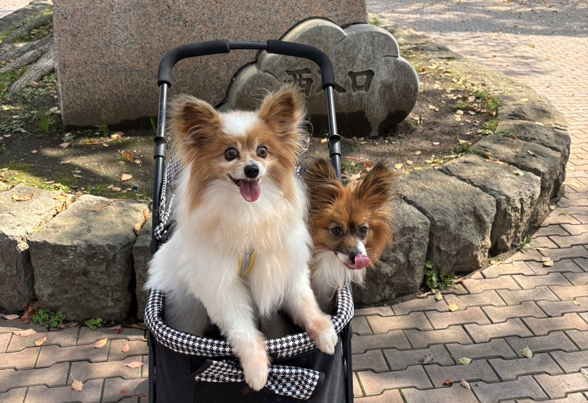 ロン(Ron475)📐🦄⚓️🖤 tweet media