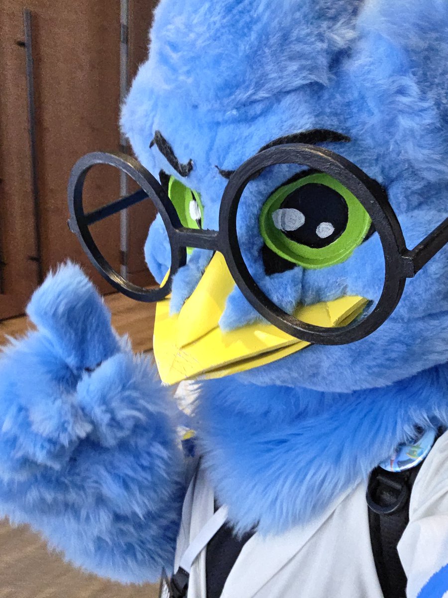 ☀️Hunt! tweet media