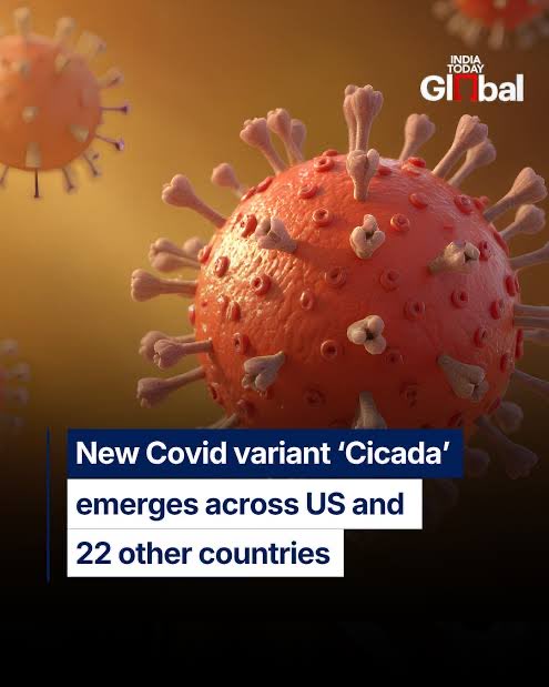 CA Anurag tweet media