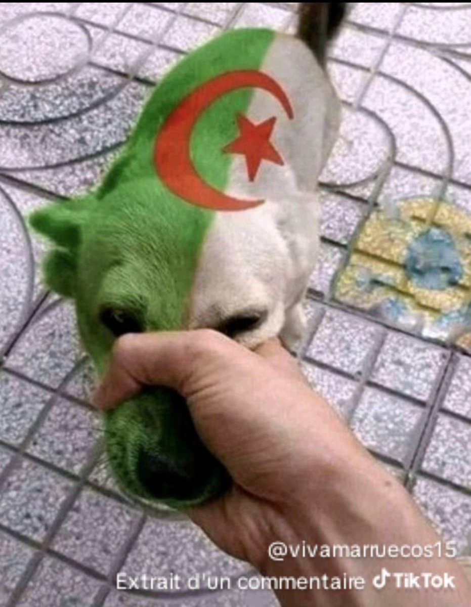 Le Lion🦁 tweet media