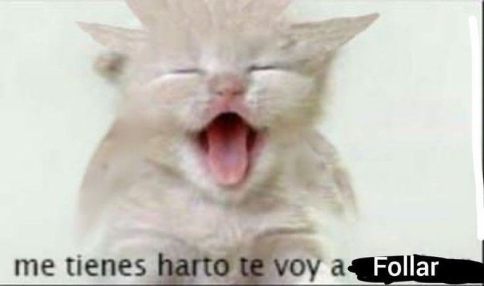 KALS.com.net.org.www.gob.mx.work.dotcom tweet media