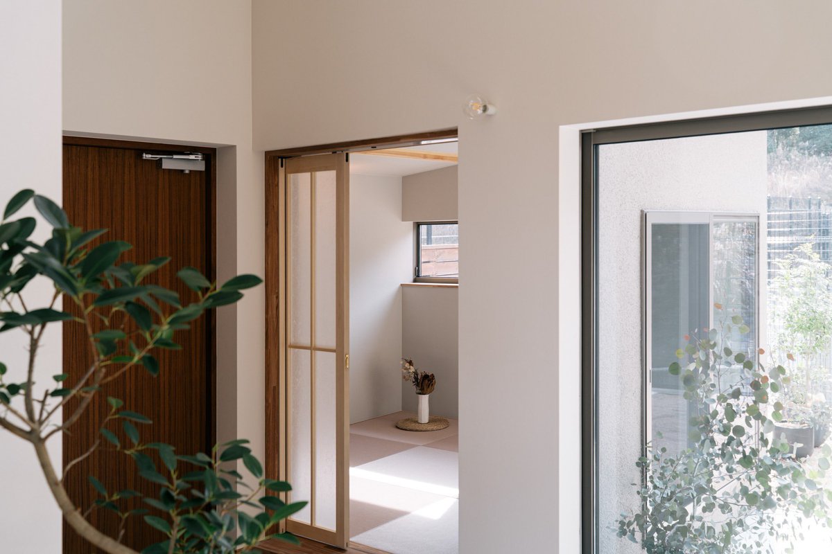 浅草不知秋~姚远 tweet media