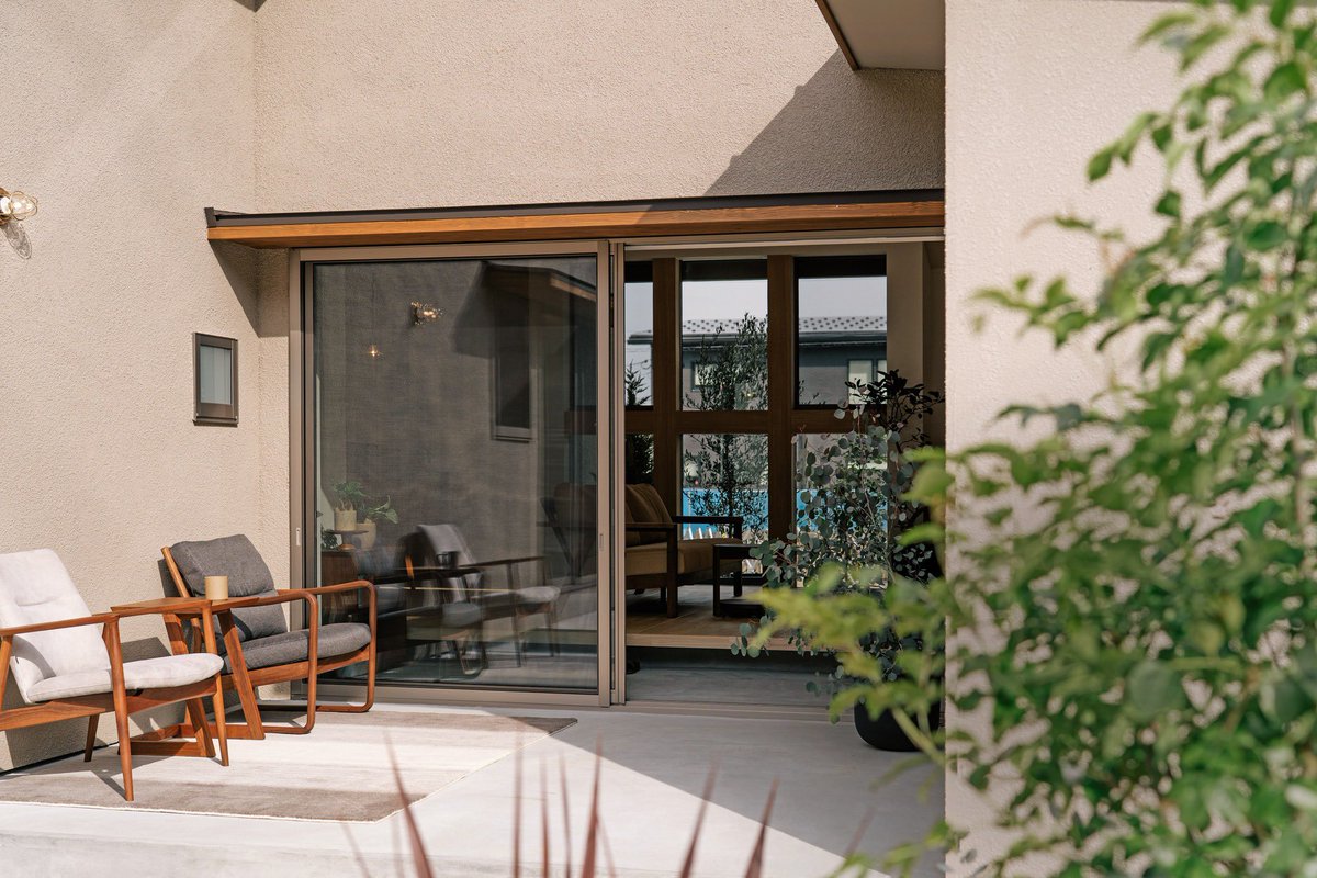 浅草不知秋~姚远 tweet media