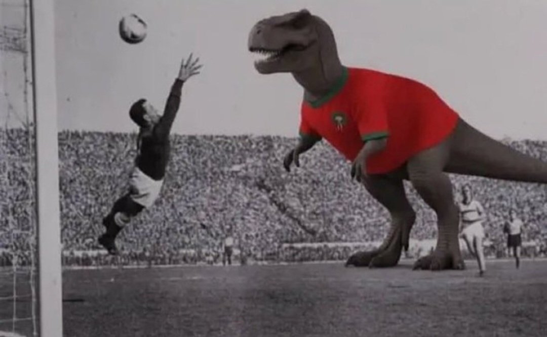 🇵🇱Capivara Colorada🇵🇱 tweet media