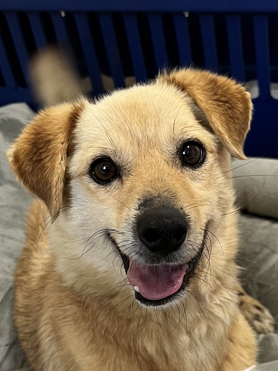 나팔봉 tweet media