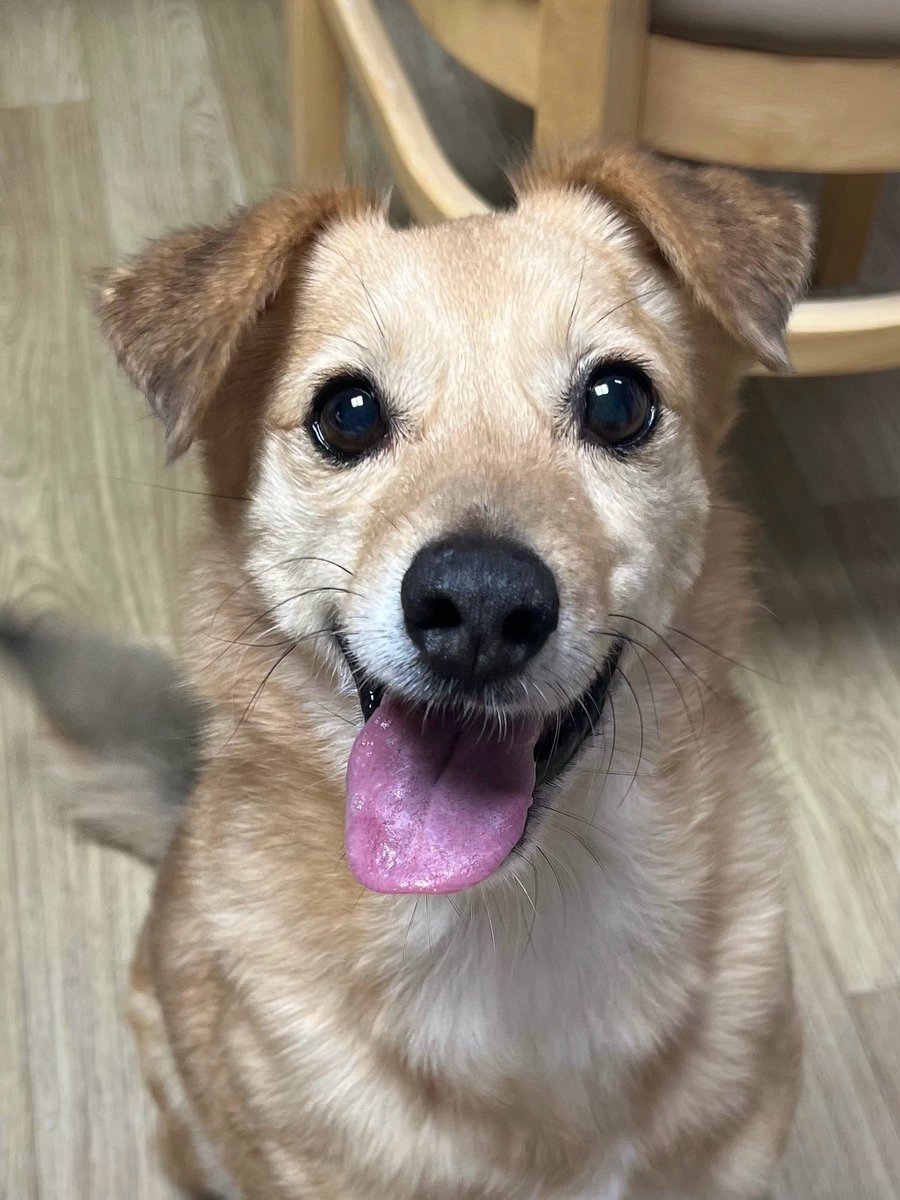 나팔봉 tweet media